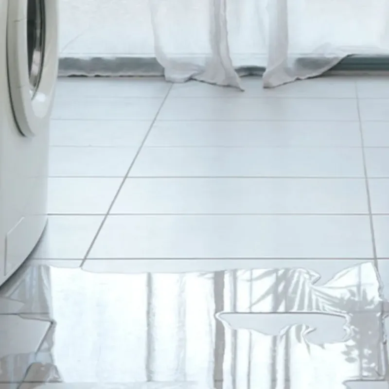 Appliance Leak Cleanup in Pleasanton, KS
