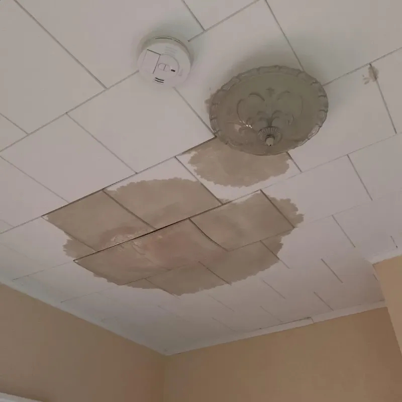 Ceiling Water Damage Repair in Pleasanton, KS