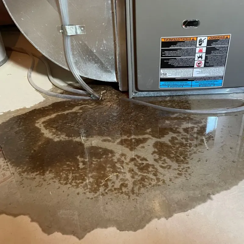 Pipe Burst and Leak Restoration in Pleasanton, KS