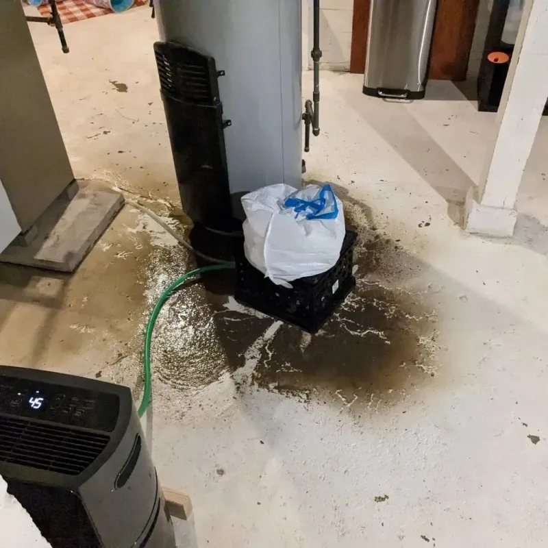 Sewage Backup Cleanup Service in Pleasanton, KS